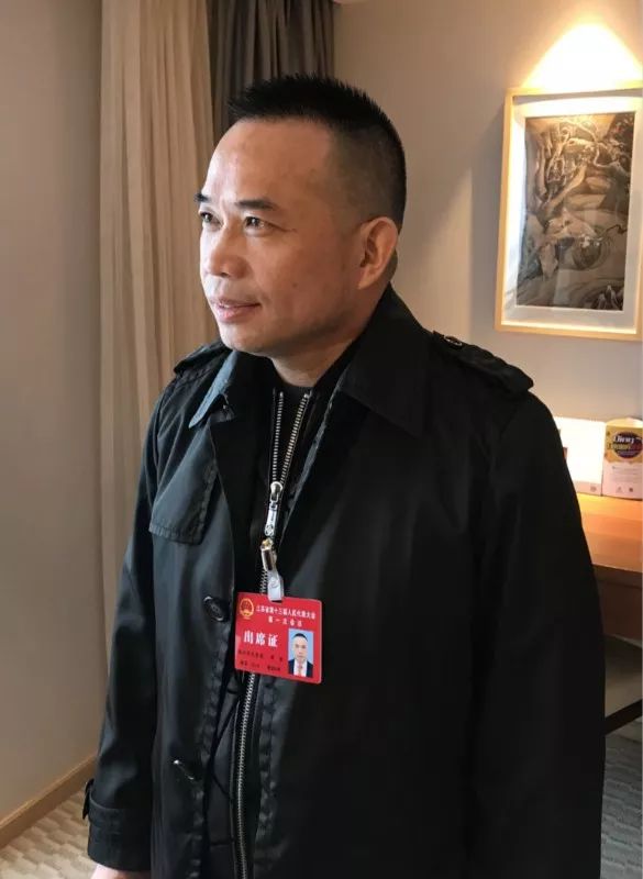 代表委员履职风采,代表委员通道见证新时代开放气质