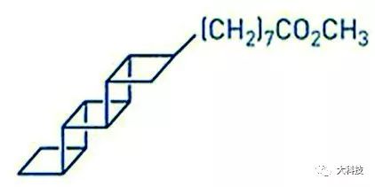 超级模仿秀大神,单人超级模仿秀
