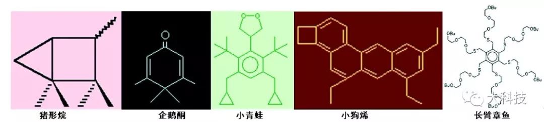 超级模仿秀大神,单人超级模仿秀