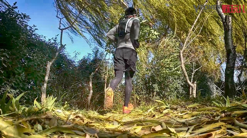 大强度运动后恢复性训练,大强度运动后第二天恢复运动