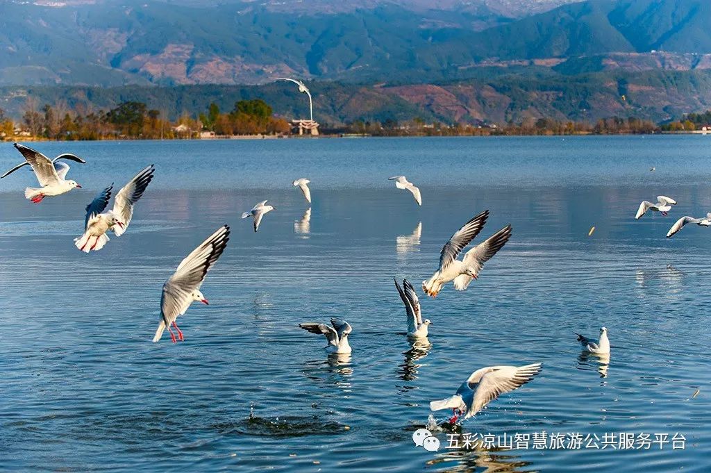 鎵嬪伐鍒朵綔鍒涙剰闆嗗競,浼犵粺鎵嬪伐缇庨闊充箰