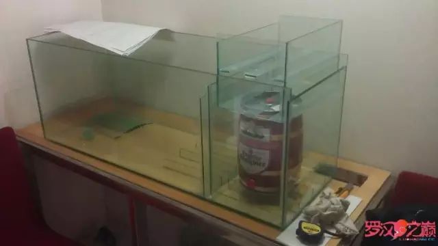 开局只有3000元，玻璃、器材全用买，最后纯靠DIY