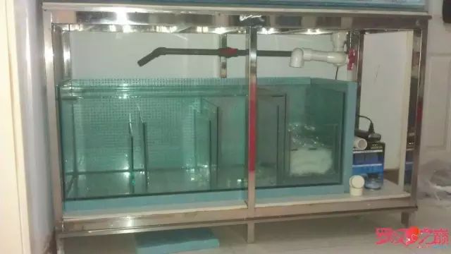 开局只有3000元，玻璃、器材全用买，最后纯靠DIY