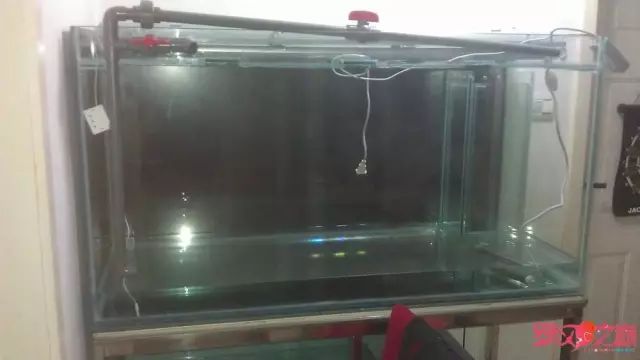 开局只有3000元，玻璃、器材全用买，最后纯靠DIY