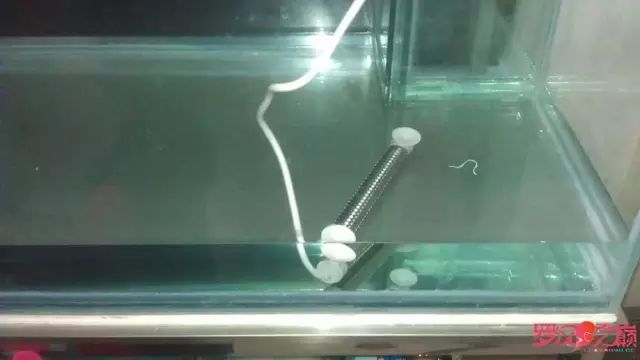 开局只有3000元，玻璃、器材全用买，最后纯靠DIY