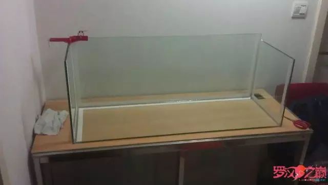 开局只有3000元，玻璃、器材全用买，最后纯靠DIY