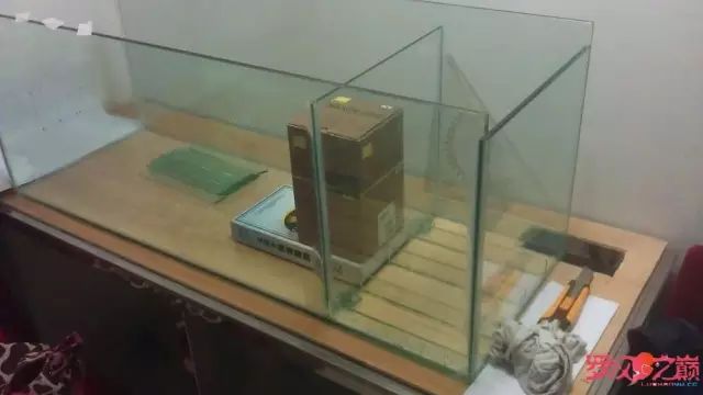 开局只有3000元，玻璃、器材全用买，最后纯靠DIY