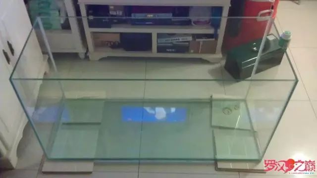 开局只有3000元，玻璃、器材全用买，最后纯靠DIY