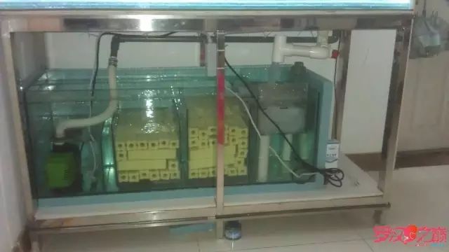 开局只有3000元，玻璃、器材全用买，最后纯靠DIY