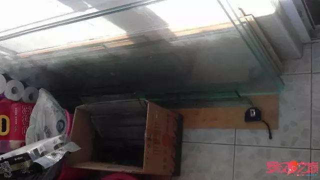 开局只有3000元，玻璃、器材全用买，最后纯靠DIY