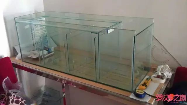 开局只有3000元，玻璃、器材全用买，最后纯靠DIY