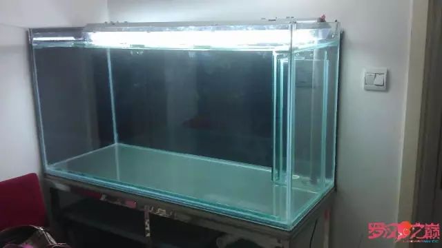 开局只有3000元，玻璃、器材全用买，最后纯靠DIY