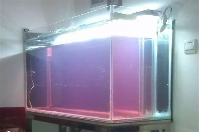 开局只有3000元，玻璃、器材全用买，最后纯靠DIY