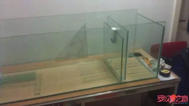 开局只有3000元，玻璃、器材全用买，最后纯靠DIY