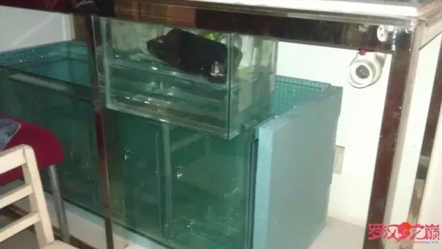 开局只有3000元，玻璃、器材全用买，最后纯靠DIY