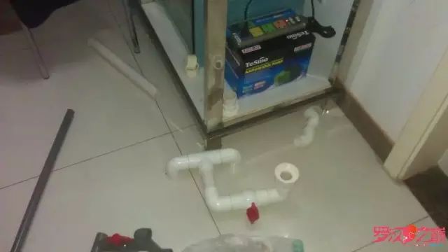 开局只有3000元，玻璃、器材全用买，最后纯靠DIY