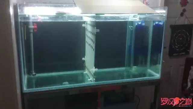 开局只有3000元，玻璃、器材全用买，最后纯靠DIY