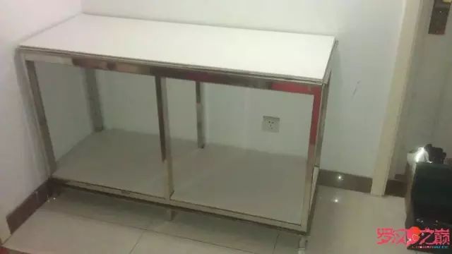 开局只有3000元，玻璃、器材全用买，最后纯靠DIY