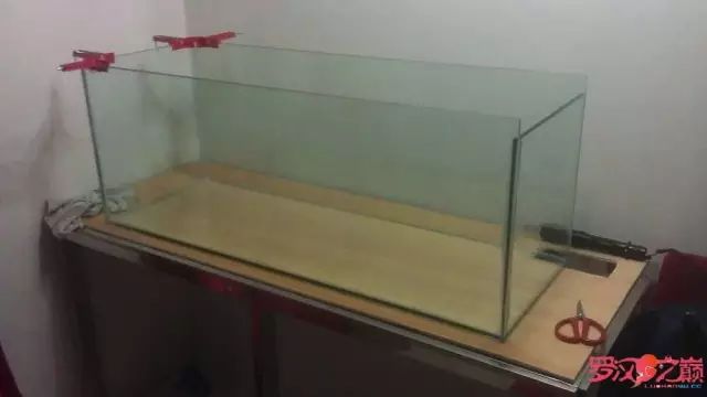 开局只有3000元，玻璃、器材全用买，最后纯靠DIY