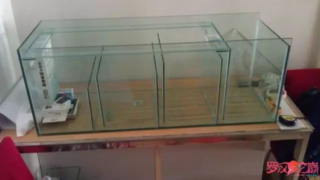 开局只有3000元，玻璃、器材全用买，最后纯靠DIY