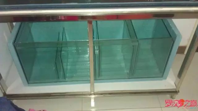 开局只有3000元，玻璃、器材全用买，最后纯靠DIY