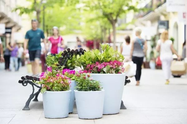 巴塞罗那和马德里旅游,西班牙旅游攻略巴萨