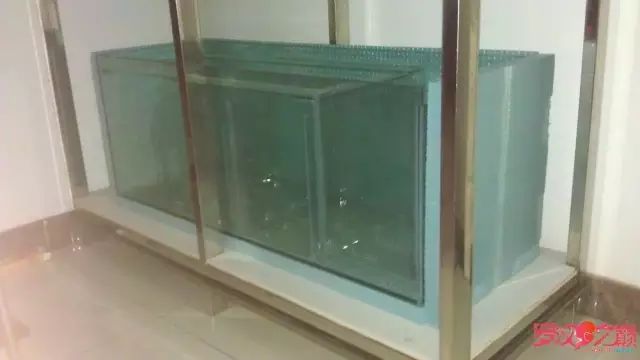 开局只有3000元，玻璃、器材全用买，最后纯靠DIY