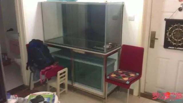 开局只有3000元，玻璃、器材全用买，最后纯靠DIY