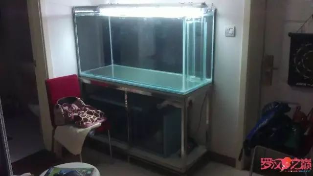 开局只有3000元，玻璃、器材全用买，最后纯靠DIY