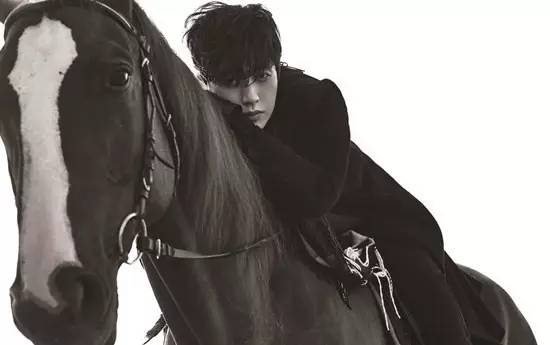 维纳斯金牛座,金牛座和维纳斯