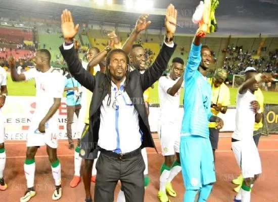 特兰加雄狮图片,特兰加雄狮