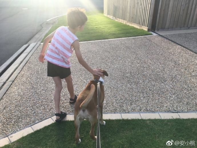 V20｜我是二胎妈，我自己挣钱在澳洲买了套房