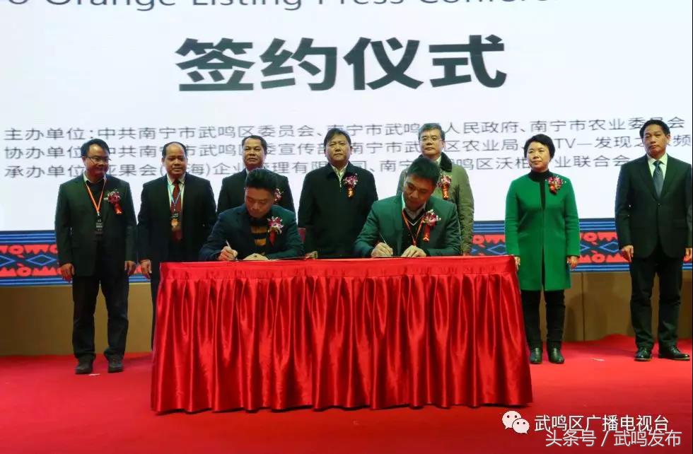 武鸣沃柑开园上市,武鸣沃柑2024发布现场