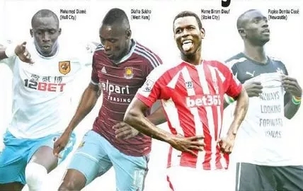 特兰加雄狮图片,特兰加雄狮