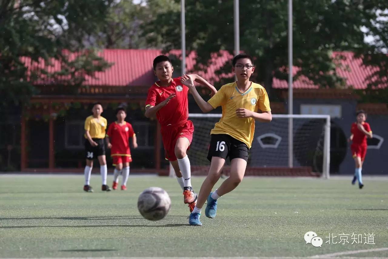 近年来学校足球的主要做法及效果,校园足球加教育是一条很好的道路