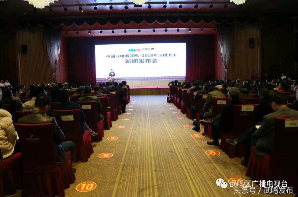 武鸣沃柑开园上市,武鸣沃柑2024发布现场