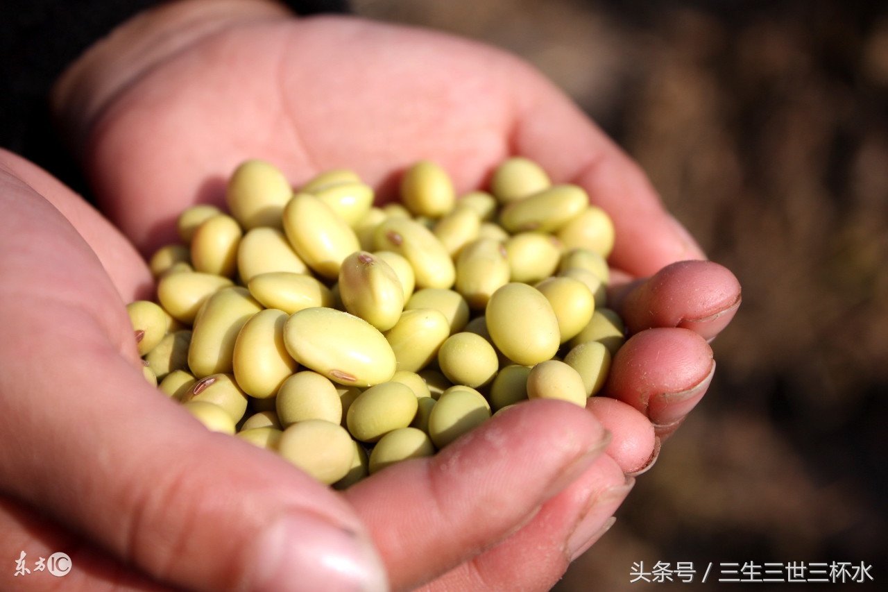 孕妈补充营养，但一闻到牛奶就恶心反胃，是什么情况？