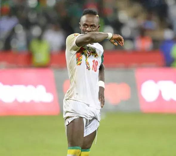 特兰加雄狮图片,特兰加雄狮