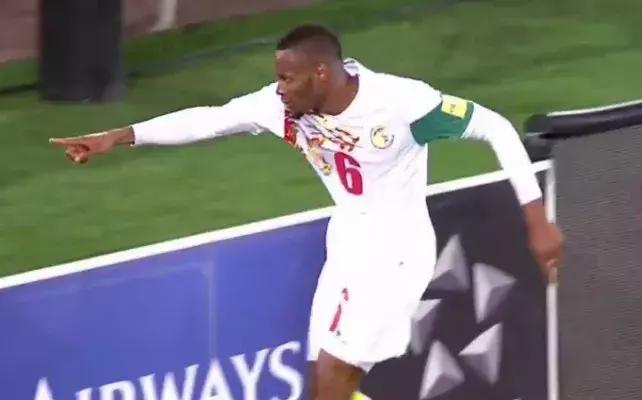 特兰加雄狮图片,特兰加雄狮