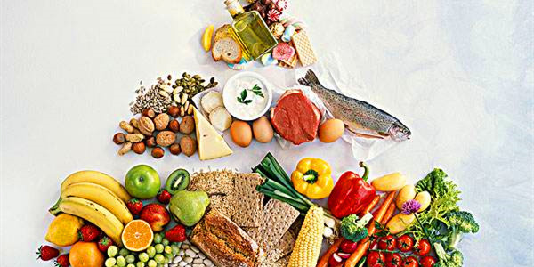 中国营养学会头条,中国营养学会营养视频