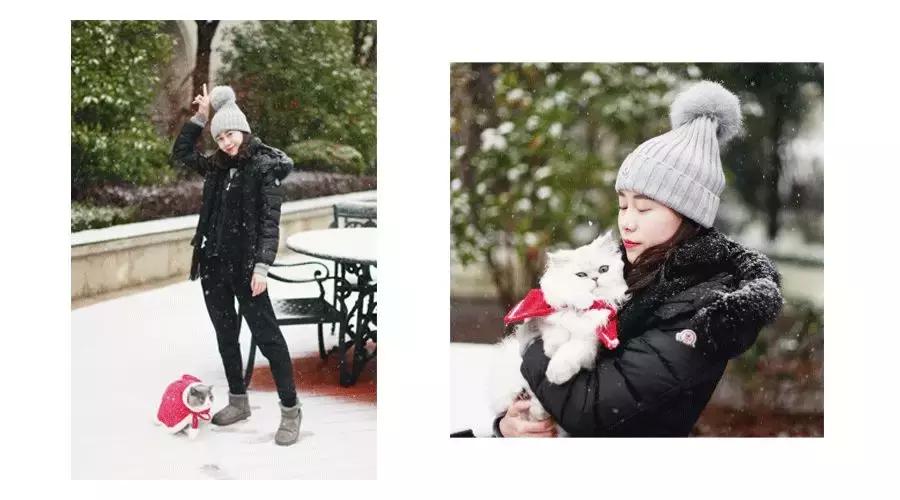 狗和猫的不同点有哪些,狗和猫在雪中的脚印有什么区别