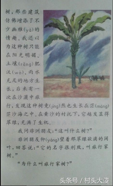 语文课本童年的回忆板书,小学语文课本回忆2012版