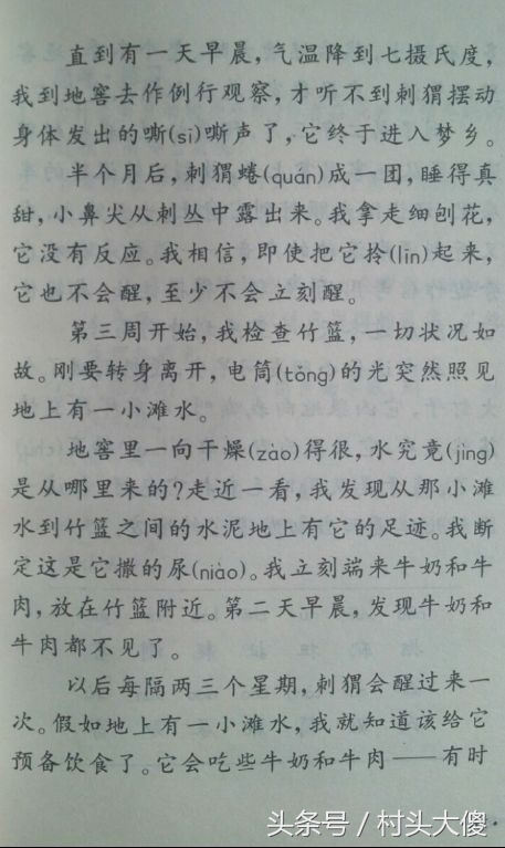 语文课本童年的回忆板书,小学语文课本回忆2012版