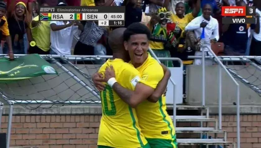 特兰加雄狮图片,特兰加雄狮