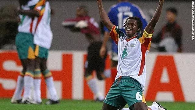 特兰加雄狮图片,特兰加雄狮