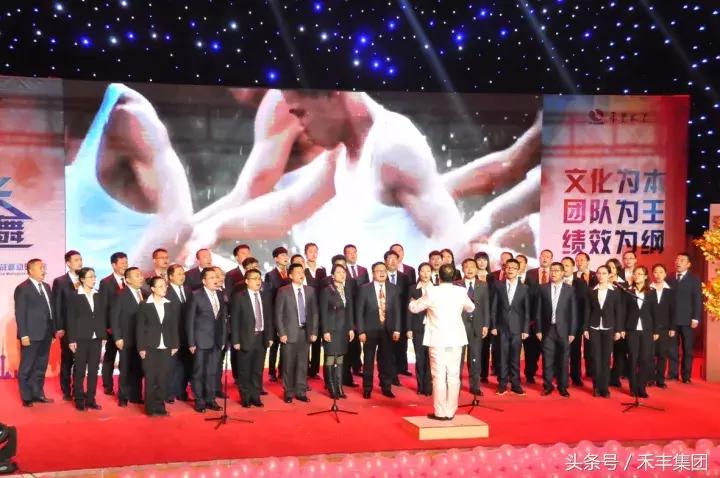 开封禾丰白羽肉鸡苗,禾丰白羽肉鸡排名