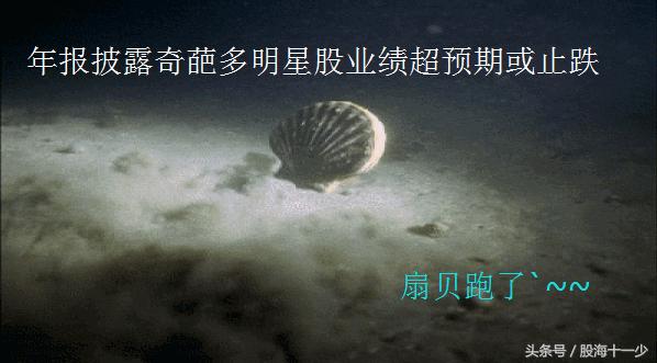 17只个股年报和一季报业绩均翻倍,年报超预期增长12倍个股