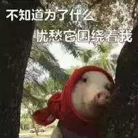 社保在天府新区两年可以在哪买房,成都高新区户口可以在郫县买房