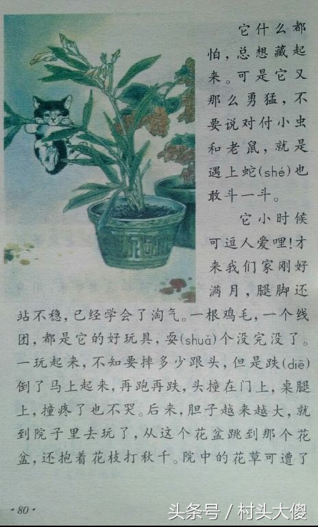 语文课本童年的回忆板书,小学语文课本回忆2012版