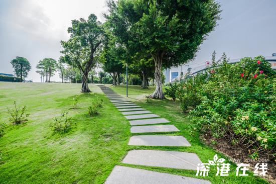 深圳湾公园好玩吗?都有哪些景点?深圳湾公园游玩指南